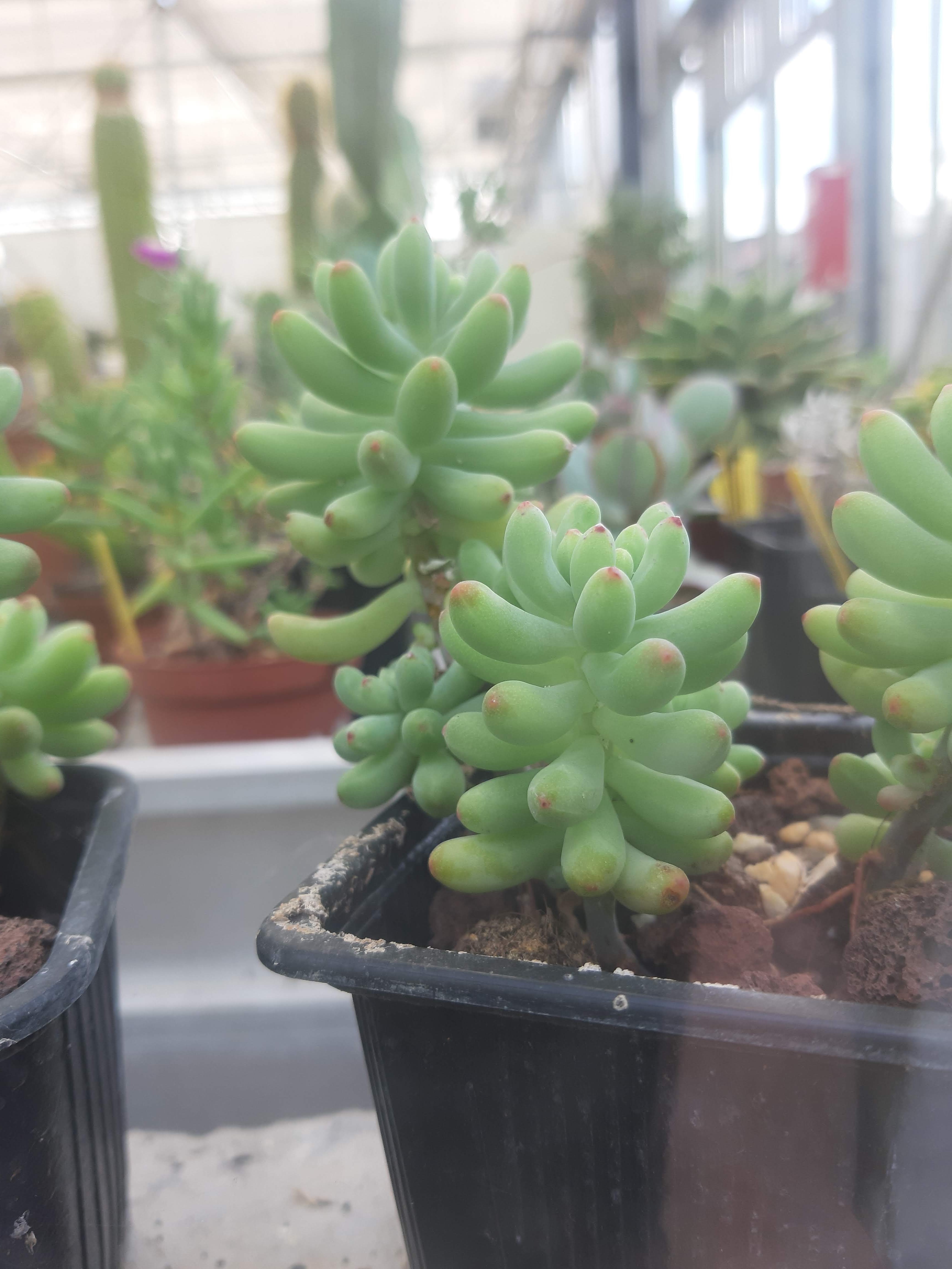 Photo n° 2 de l'avis de ka.i fait le 14/06/2019 à 13:23