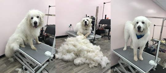 Hair of the Dog Grooming Salon