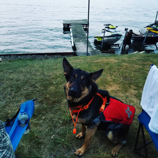 Pet Supply Store «Pet Supplies Plus», reviews and photos, 22124 Ecorse Rd, Taylor, MI 48180, USA