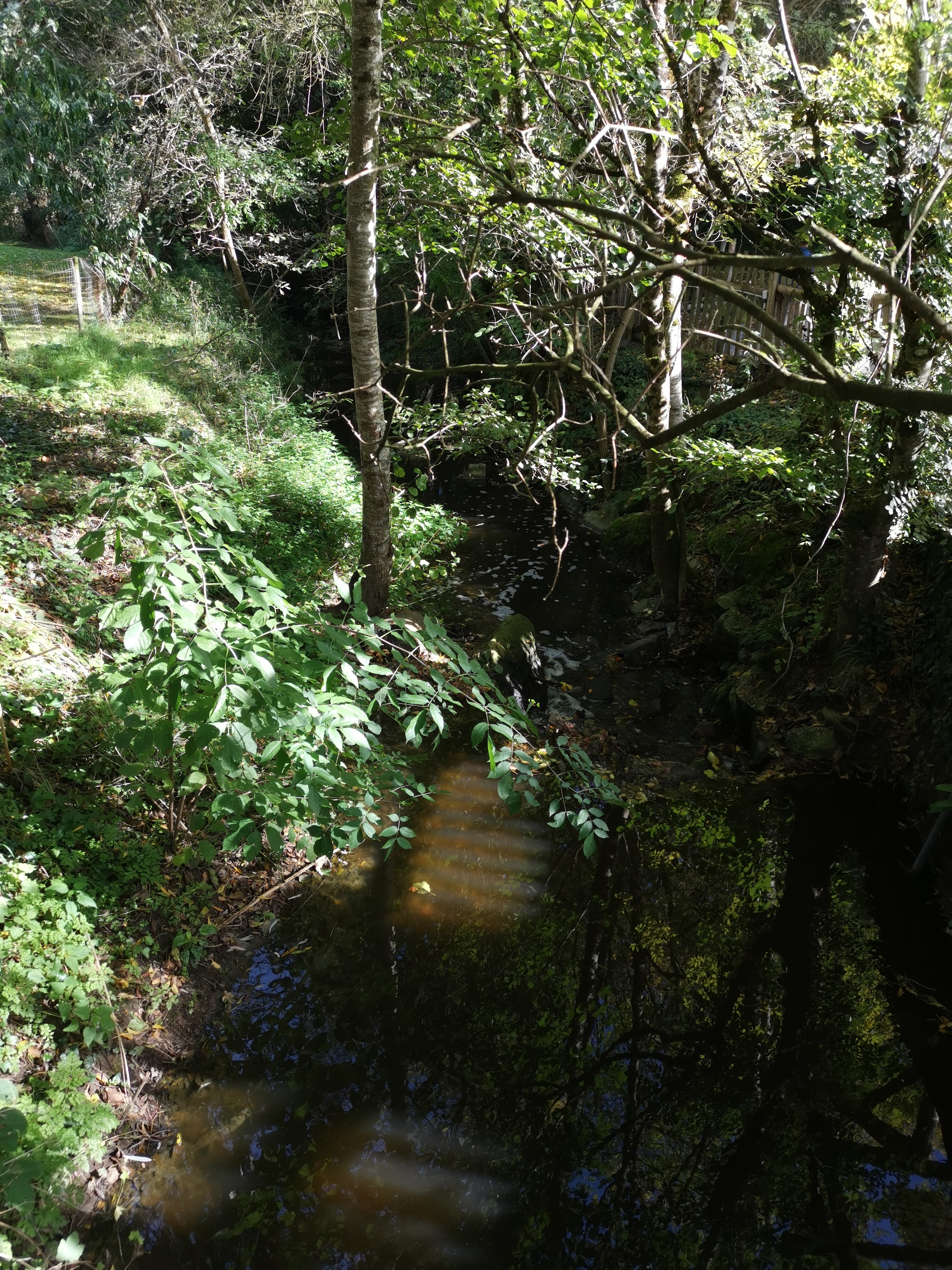Photo n° 1 de l'avis de Jean-Pierre.a fait le 27/10/2022 à 07:05
