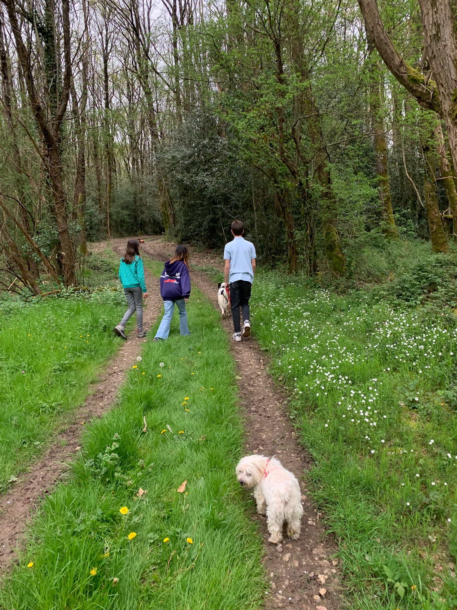 Photo n° 2 de l'avis de Wandee.H fait le 13/04/2024 à 17:09