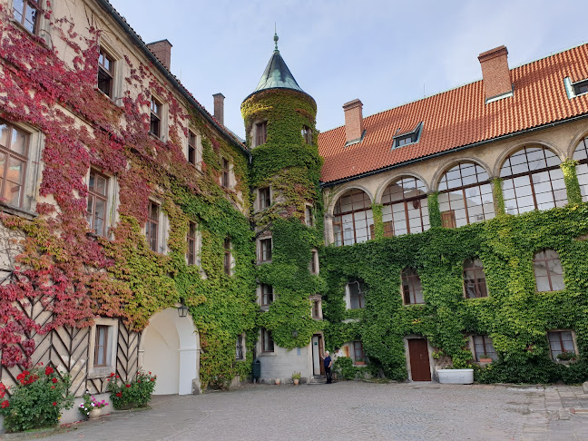 Recenze na Zámecká restaurace Hrubá Skála v Liberec - Restaurace