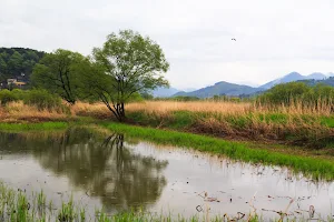 Hwapocheon wetland ecological park image