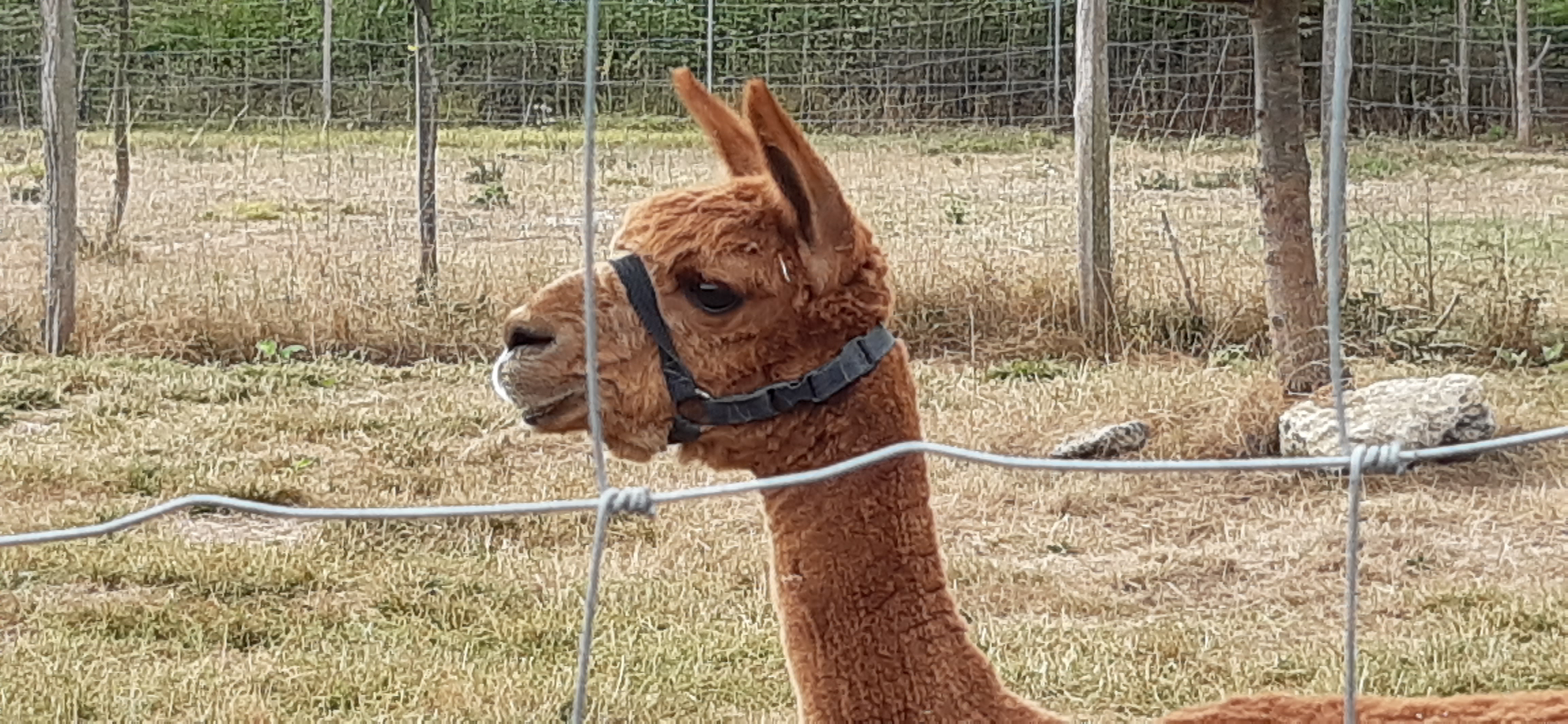 Photo n° 1 de l'avis de Dimitri.u fait le 13/08/2020 à 19:45
