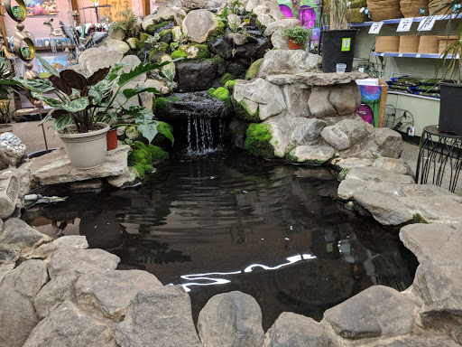 Hardware Store «Emigh Ace Hardware», reviews and photos, 3555 El Camino Ave, Sacramento, CA 95821, USA