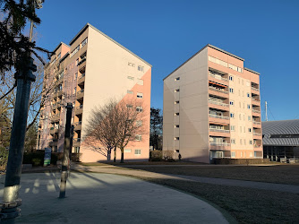 École de Bois-Livron (Annemasse)