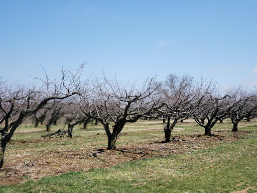 State Park «Monmouth Battlefield State Park», reviews and photos, 16 Business Route 33, Manalapan Township, NJ 07726, USA
