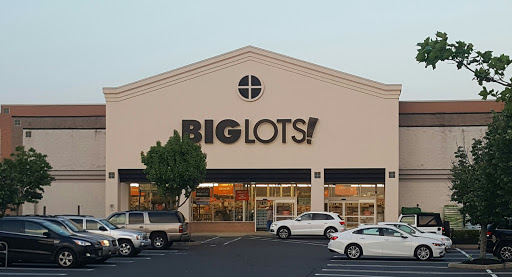 Big Lots, 220 Trotters Way, Freehold, NJ 07728, USA, 