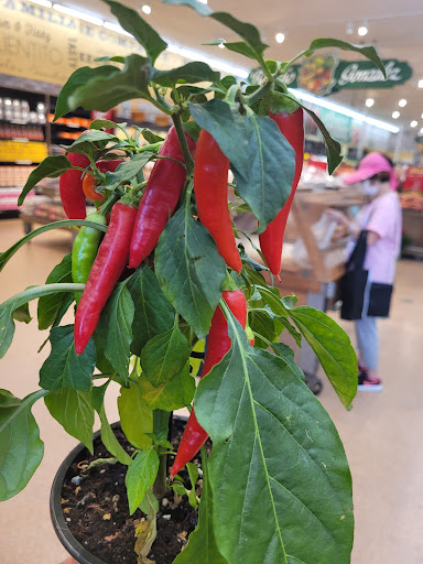 Grocery Store «Northgate Gonzalez Markets», reviews and photos, 3828 Peck Rd, El Monte, CA 91732, USA