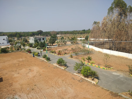 Google Maps image 21