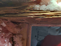 Florida Good Guys Pest Control & Environmental - Photo 9 - Car repair in , Coral Springs