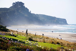 Zdjęcie Pukehina Beach położony w naturalnym obszarze