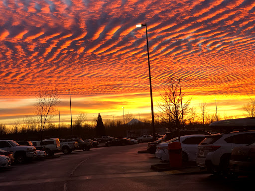 Mailing Service «FedEx Freight», reviews and photos, 750 NE Fazio Way, Portland, OR 97211, USA