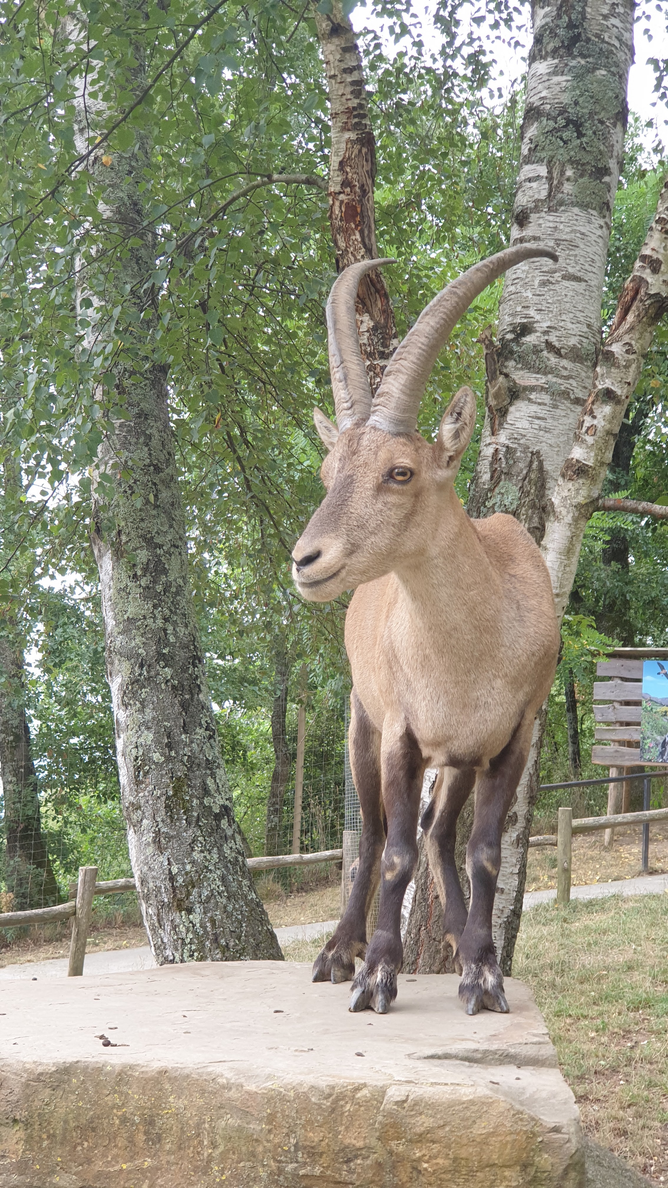 Photo n° 10 de l'avis de frédéric.e fait le 21/07/2022 à 14:28