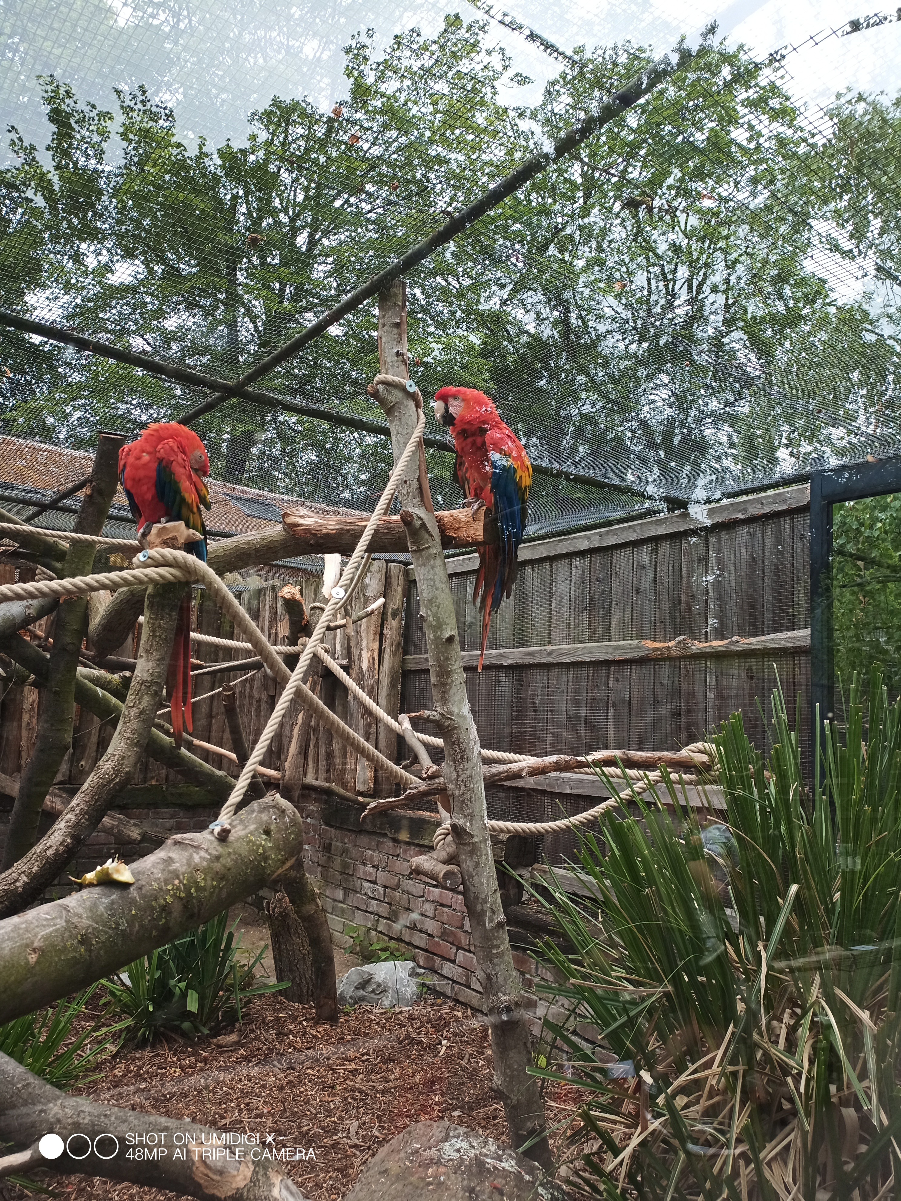 Photo n° 4 de l'avis de Eduardo.r fait le 19/06/2021 à 21:30
