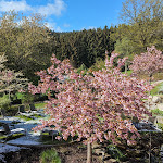 Photo n°5 de l'avis de Gerald.e fait le 01/05/2024 à 08:23 sur le  Hotel Reinerhof à Sankt Englmar