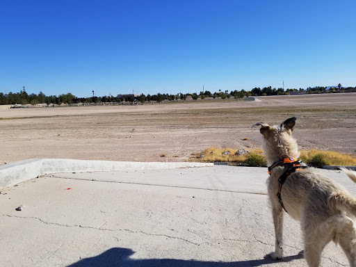 Park «W. Wayne Bunker Family Park», reviews and photos, 7351 W Alexander Rd, Las Vegas, NV 89129, USA