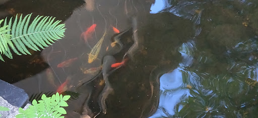 Pet Supply Store «PetSmart», reviews and photos, 9277 159th St, Orland Hills, IL 60487, USA