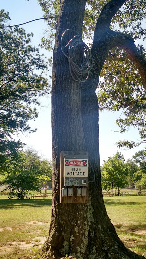 National Park «Kenilworth Park», reviews and photos, 1505 Ancostia Ave NE, Washington, DC 20019, USA