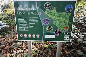Holly Hill Woodland image