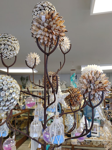 Gift Shop «Sea Shell Shoppe», reviews and photos, 120 N Austin St, Rockport, TX 78382, USA