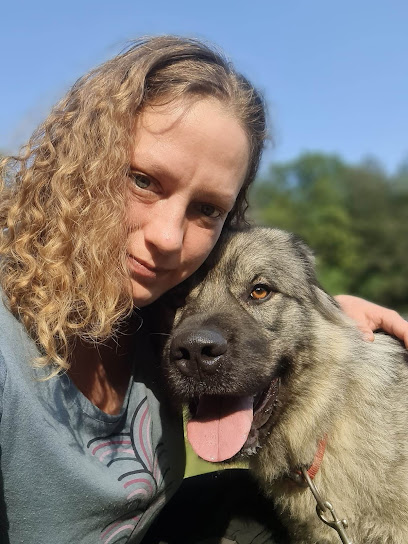 Pasja šola Grosuplje - OzzyStar vzgoja in šolanje psov
