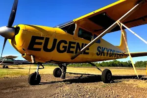 Eugene Skydivers image