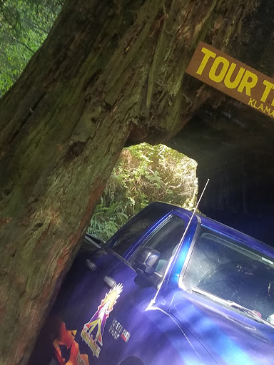 Tourist Attraction «Klamath Tour Thru Tree», reviews and photos, 430 California 169, Klamath, CA 95548, USA