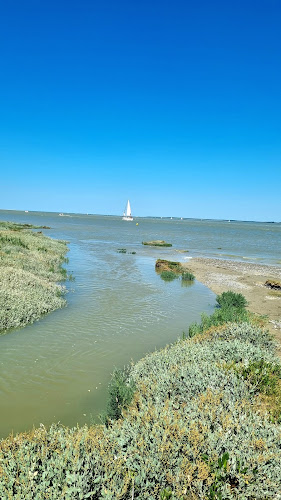 attractions Vue panoramique sur la Baie de Somme - depuis la Chapelle des Marins Saint-Valery-sur-Somme