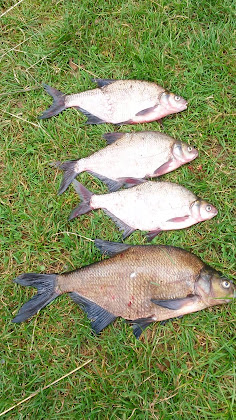 Vidéos Ferienwohnung Bartlhof Mossendorf 93133 Burglengenfeld