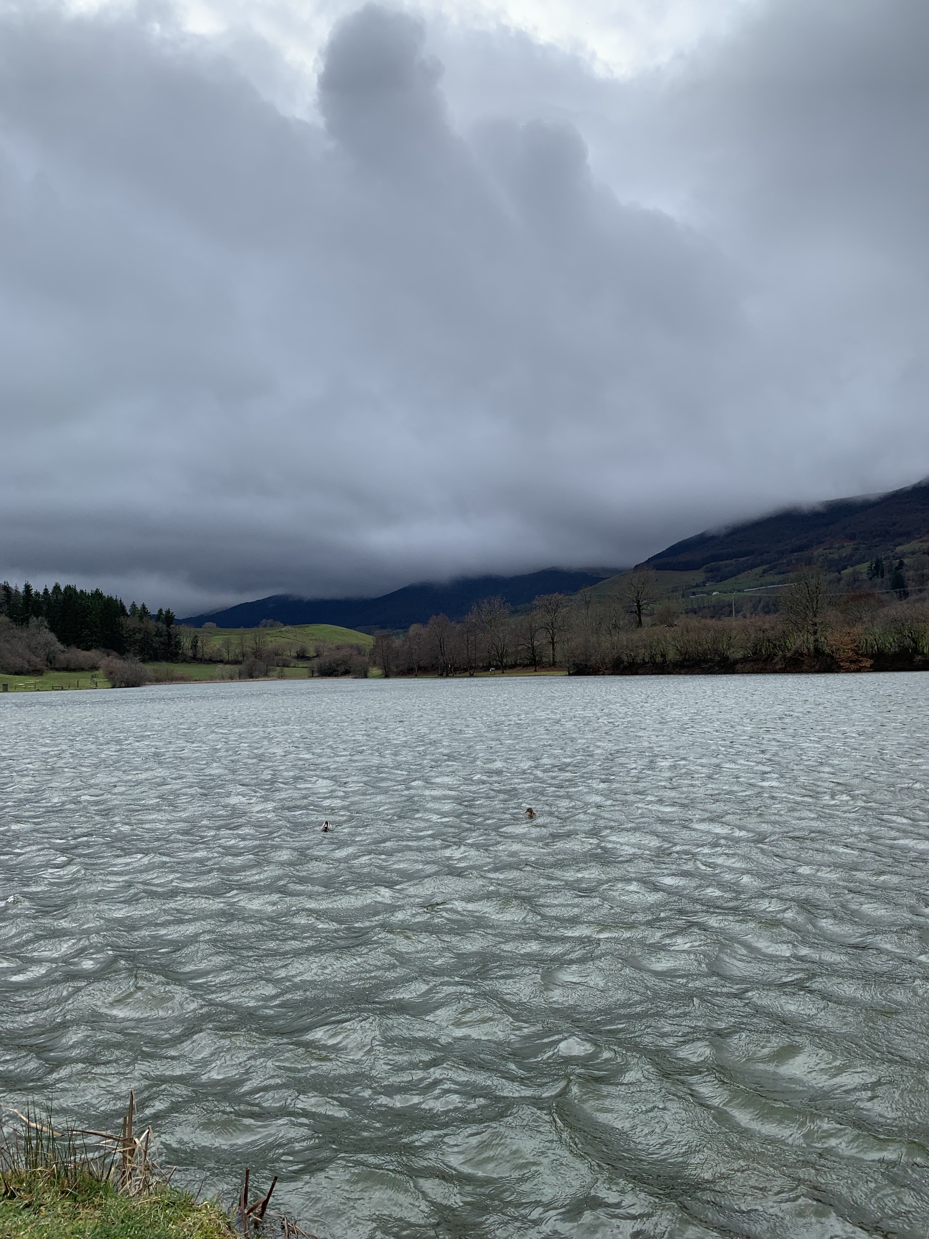 Photo n° 3 de l'avis de Auvergnates.n fait le 21/02/2023 à 12:38