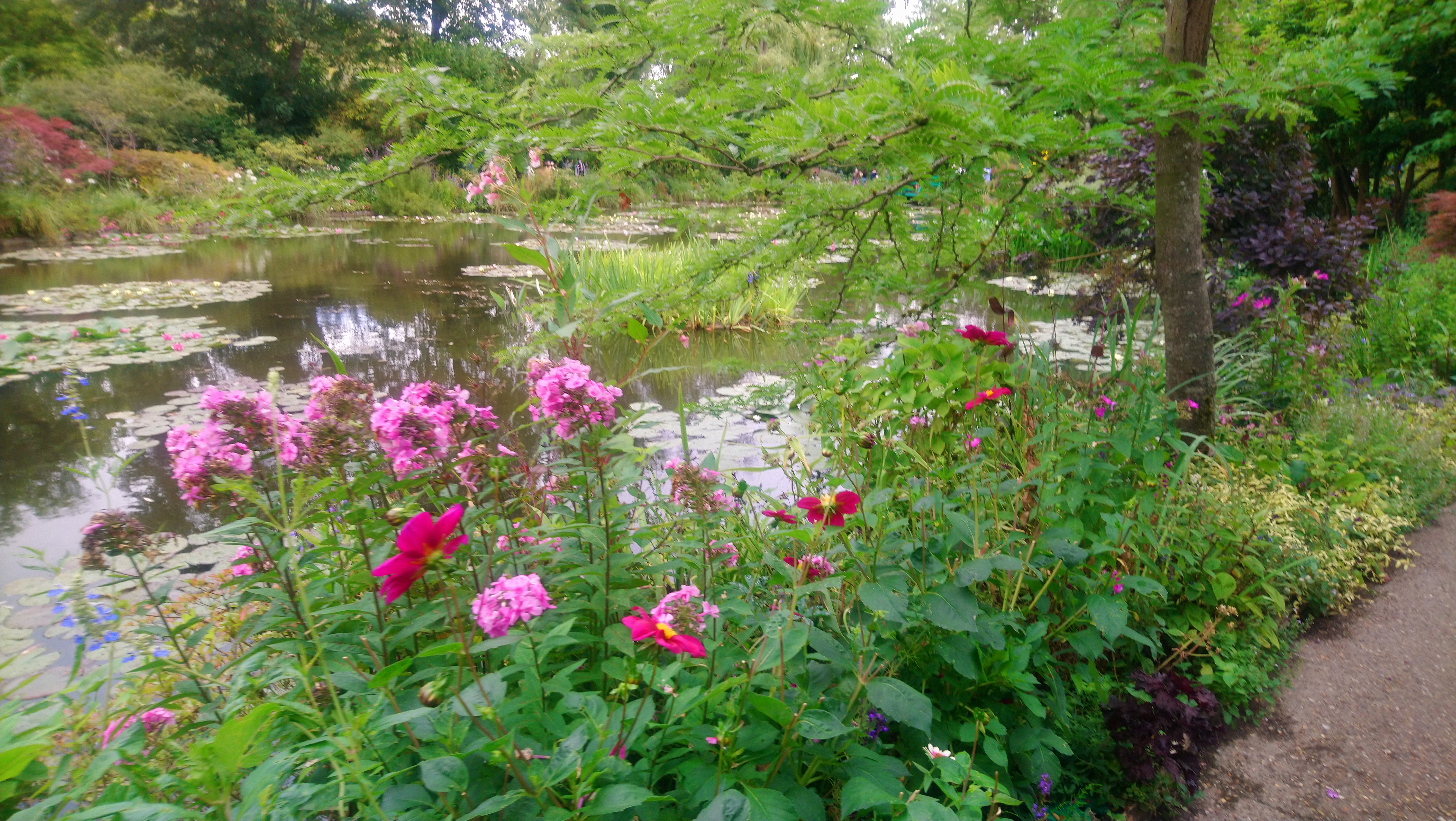 Photo n° 20 de l'avis de Angèle.K fait le 03/08/2020 à 11:24