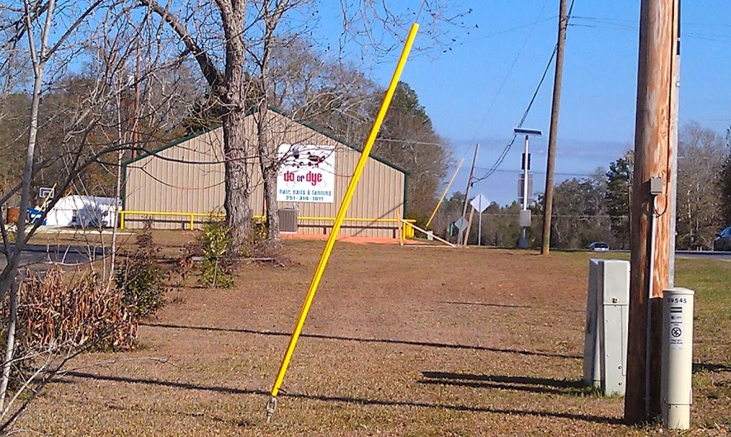Do or Dye llc 36426