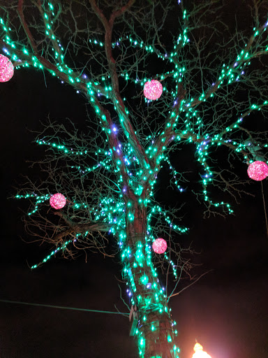 Mexican Restaurant «QDOBA Mexican Eats», reviews and photos, 301 S Main St #100, Royal Oak, MI 48067, USA