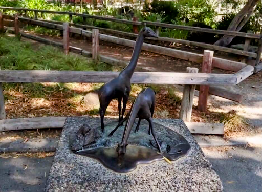 Zoo «Sacramento Zoo», reviews and photos, 3930 W Land Park Dr, Sacramento, CA 95822, USA