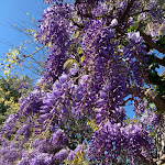 Photo n°2 de l'avis de andrea. fait le 23/04/2022 à 18:44 sur le  Farmhouse San Rocco à Villa Verucchio