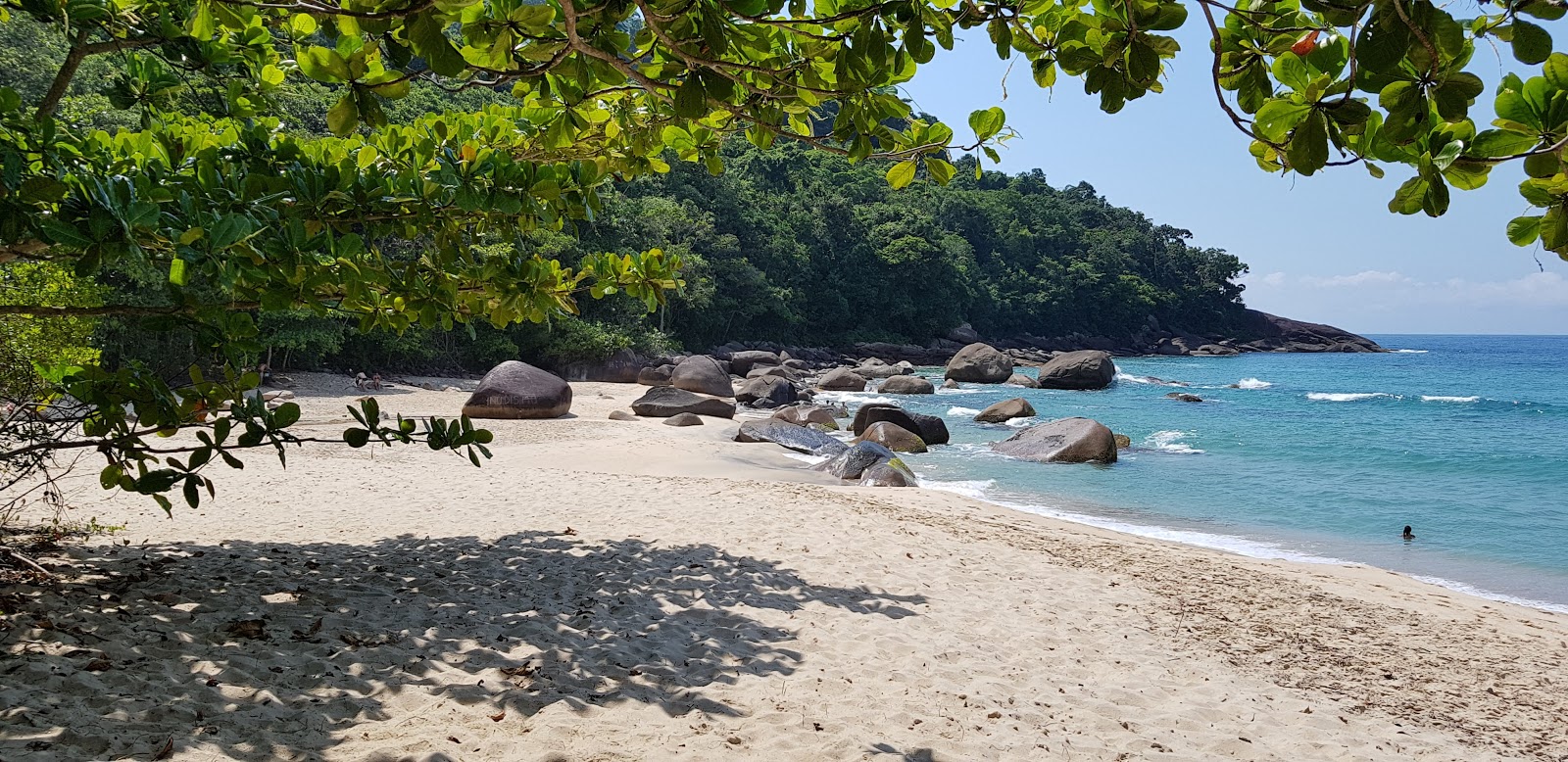 Photo of Meia Lua Beach wild area