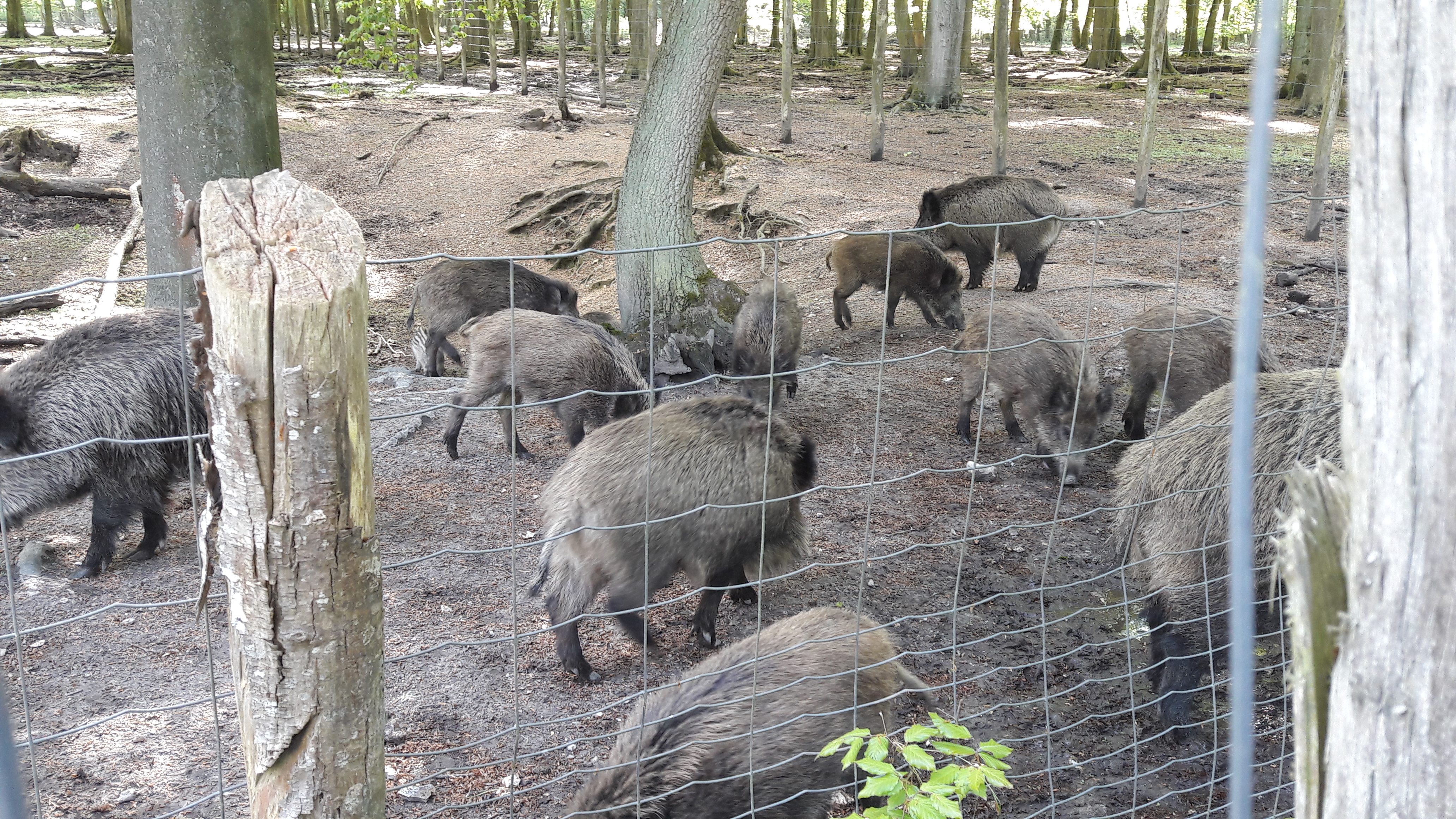Photo n° 3 de l'avis de Lulu.o fait le 05/05/2018 à 16:53