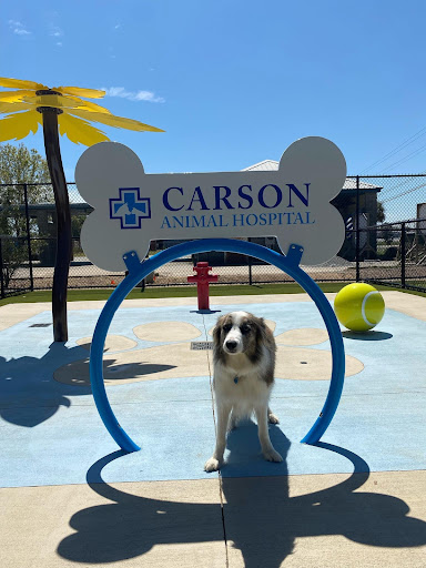Carson Animal Hospital image