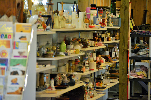 Thrift Store «That Other Thrift Store», reviews and photos, 4155 Coon Rapids Blvd NW, Coon Rapids, MN 55433, USA