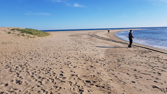 Playa San Bruno