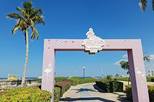 Flamingo beach image