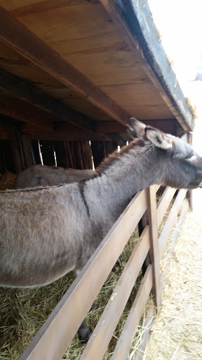 Funeral Home «Paul R Young Funeral Home», reviews and photos, 7345 Hamilton Ave, Cincinnati, OH 45231, USA