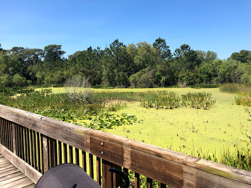 Park «Eagle Lake Park», reviews and photos, 1800 Keene Rd, Largo, FL 33771, USA