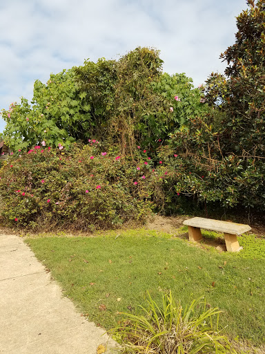 Park «Heritage Park», reviews and photos, 99 Lake Dow Rd, McDonough, GA 30252, USA