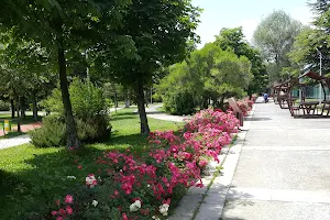 Atatürk Orman Park image