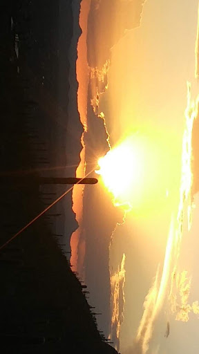 Tourist Attraction «Linda Vista Trail», reviews and photos, 730 E Linda Vista Rd, Oro Valley, AZ 85737, USA