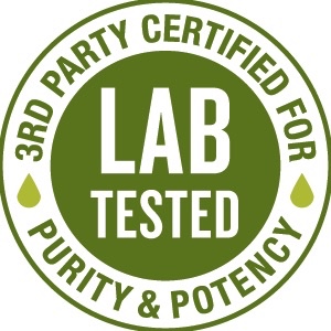 Health Food Store «Wild Oats Health Food Store», reviews and photos, 12 West St, Beverly, MA 01915, USA