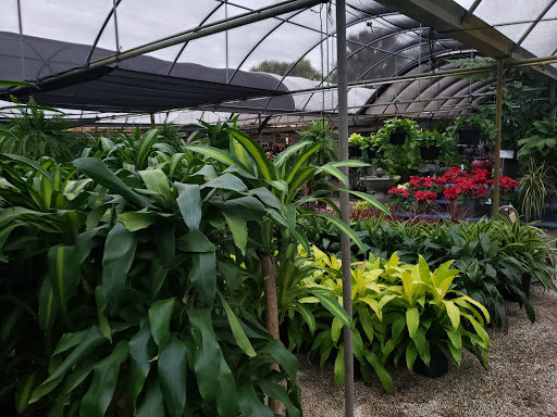 Wholesale Plant Nursery «Galloway Farm Nursery Inc.», reviews and photos, 7790 SW 87th Ave, Miami, FL 33173, USA