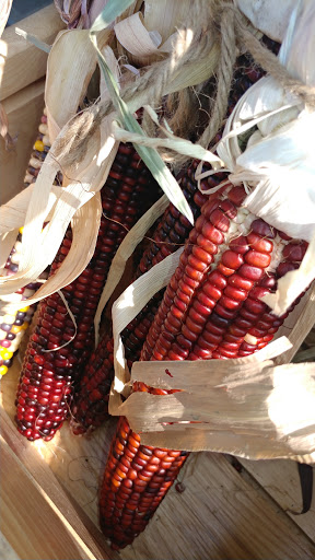 Health Food Store «Lexington Cooperative Market», reviews and photos, 807 Elmwood Ave, Buffalo, NY 14222, USA